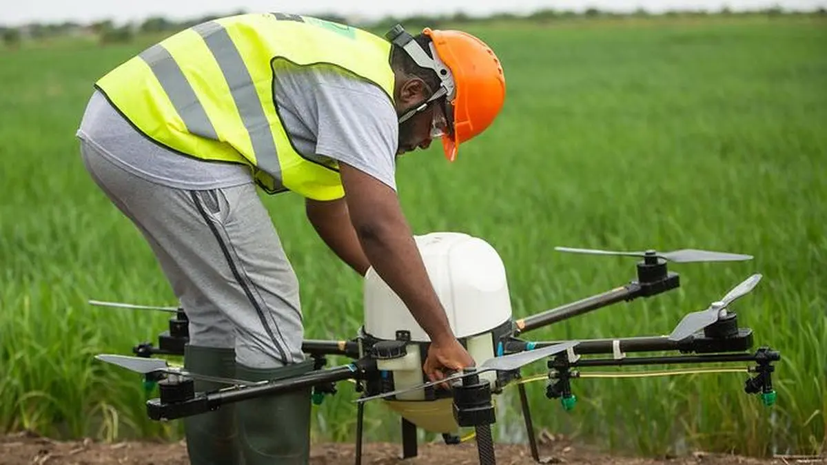 Técnico a preparar um drone agrícola numa parcela